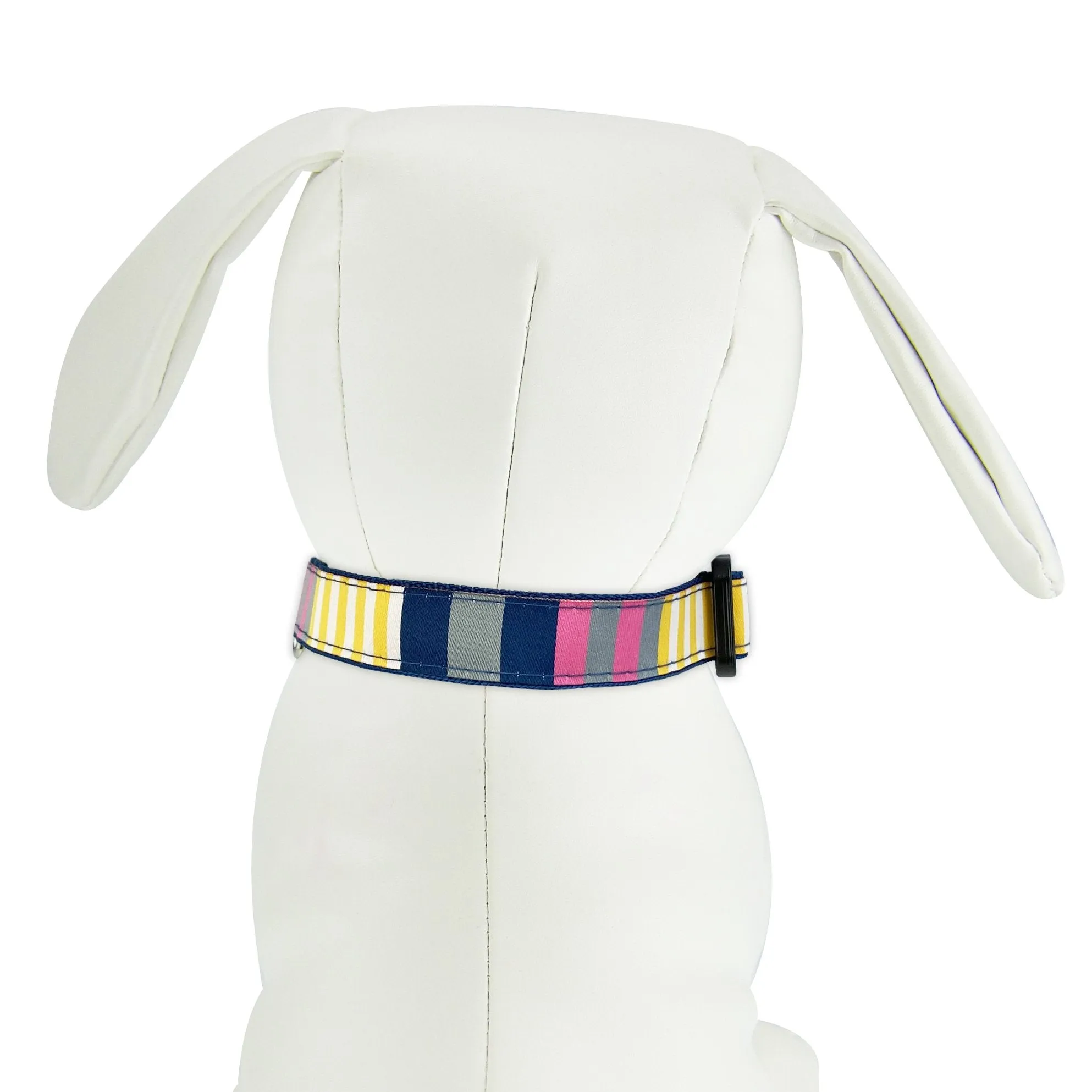 Sunshine Stripe - Dog Collar