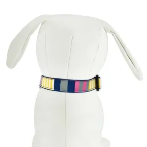 Sunshine Stripe - Dog Collar
