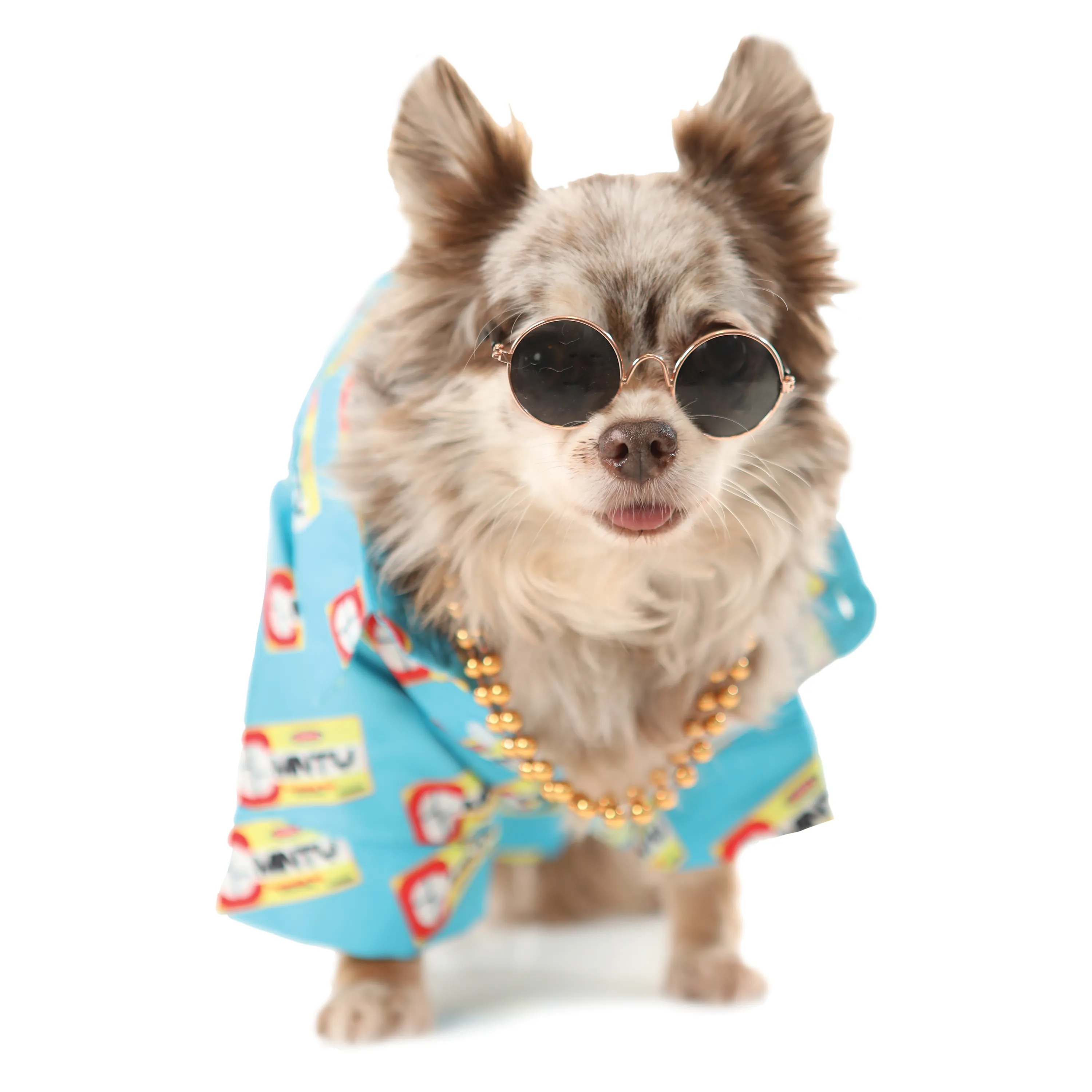 TAMO' ACICALAO' - Button-up Pet Shirt