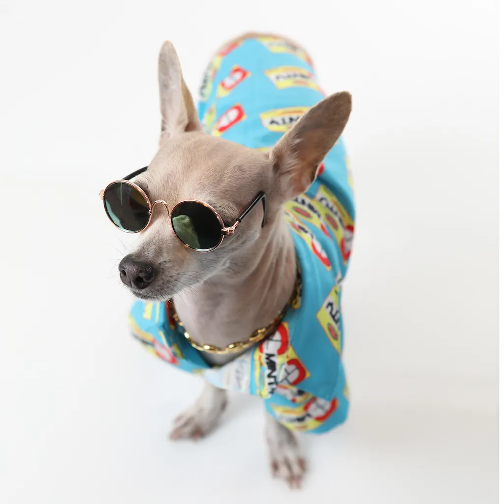 TAMO' ACICALAO' - Button-up Pet Shirt