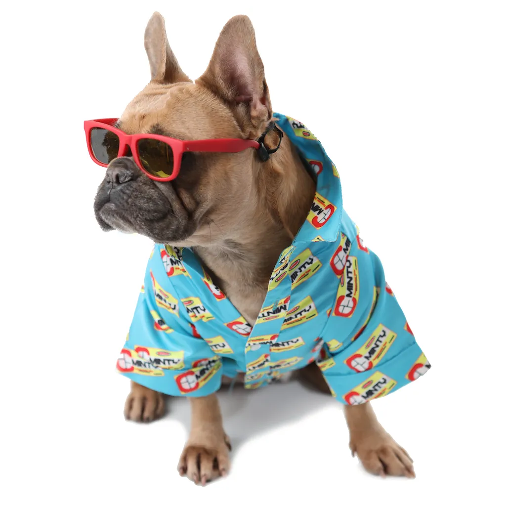 TAMO' ACICALAO' - Button-up Pet Shirt