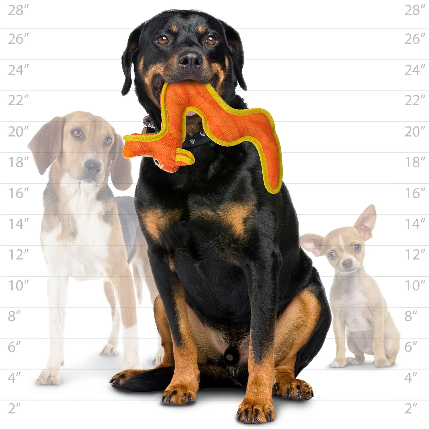 Tuffy Dog Toys - VIP Products - DuraForce Dragon Tiger - Orange, Durable, Squeaky Dog Toy