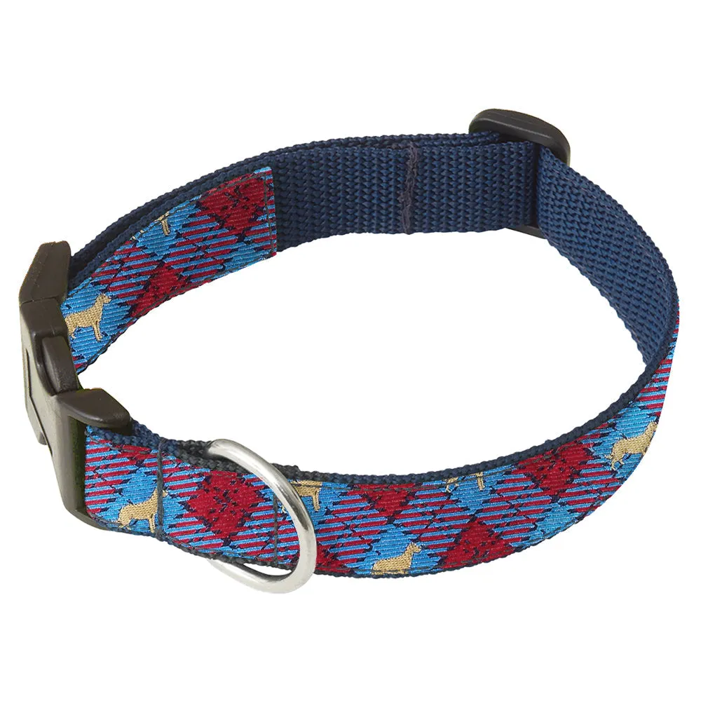 Tweedmouth - Dog Collar