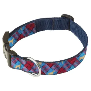 Tweedmouth - Dog Collar